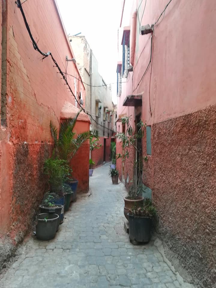 モロッコ、マラケシュ旧市街、モロッコバスケットや雑貨の仕入旅の様子