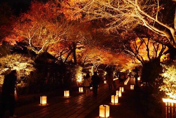 お出かけ日記 11月に出かけた石山寺の紅葉ライトアップ セレクトショップlisa